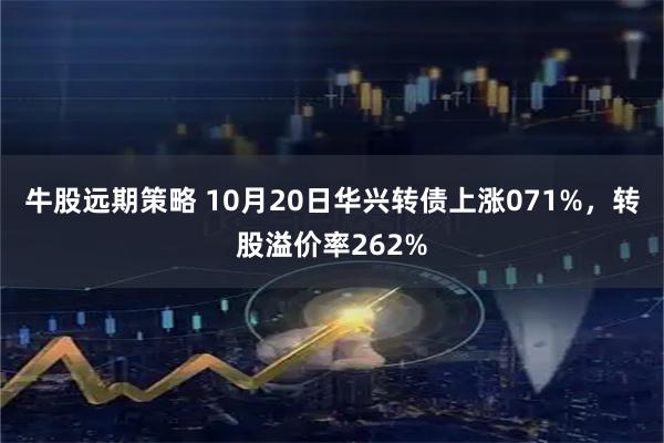 牛股远期策略 10月20日华兴转债上涨071%，转股溢价率262%