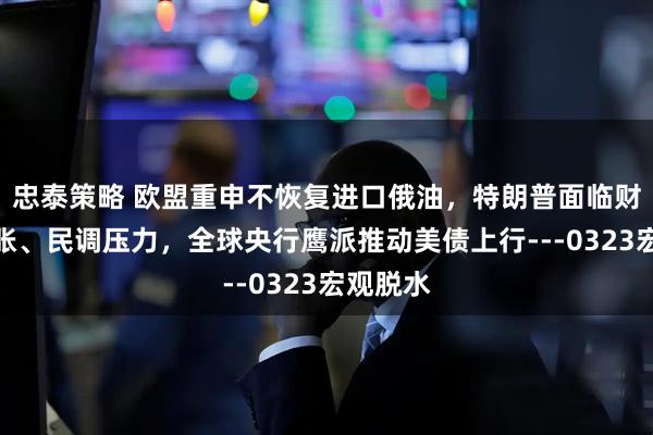 忠泰策略 欧盟重申不恢复进口俄油，特朗普面临财政、通胀、民调压力，全球央行鹰派推动美债上行---0323宏观脱水