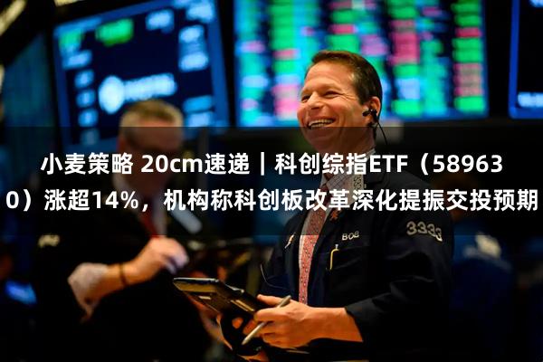 小麦策略 20cm速递｜科创综指ETF（589630）涨超14%，机构称科创板改革深化提振交投预期