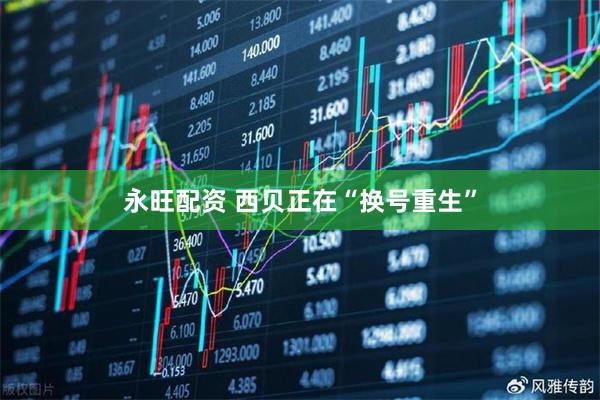 永旺配资 西贝正在“换号重生”
