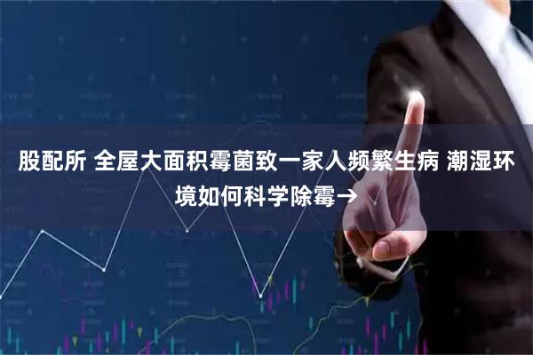 股配所 全屋大面积霉菌致一家人频繁生病 潮湿环境如何科学除霉→